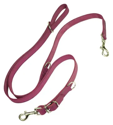 Image de Laisse pour chien Gloria Oasis Plus 2.1 x 200 cm Rose