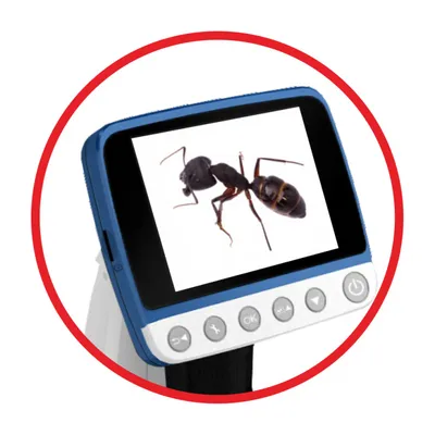 Immagine prodotto di Reflecta DigiMicroscope LCD 500fach Professional