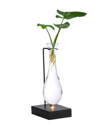 Produktbild von Dehner Waterplant Baumfreund, Philodendron Fun Bun, Wasserpflanze im LED-Glas, Ø 6 cm, Höhe 30 cm, Zimmerpflanze