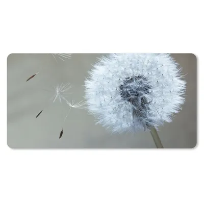 Produktbild von MuchoWow® Schreibtischunterlage Löwenzahn - Blume - Pflanze 80x40 cm - XXL Mauspad - Gaming Mauspad
