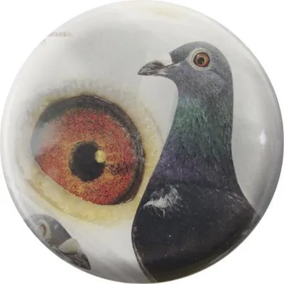 Produktbild von Küchenmagnet - Taubenauge - Gr. ca. 5,7 cm - 16203 - Magnet Kühlschrankmagnet