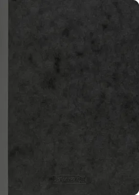 Obrázek produktu pro BRUNNEN 104357390 Notebook Premium FACT!plus, A5, 192 stran, tečkovaný, černý