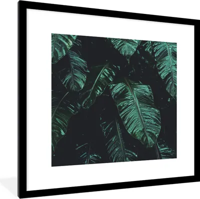 Produktbild von MuchoWow® Gerahmtes Poster Dschungel - Palme - Blätter - Tropisch 40x40 cm - Poster mit Schwarzem Bilderrahmen Wandposter Rahmen Foto Bilder - Poster - Plakat im Rahmen