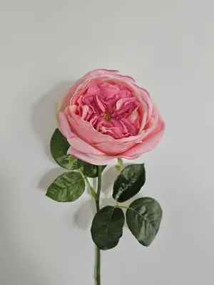 Produktbild von artplants.de Kunstrose GINAKAL, rosa, 65cm - Künstliche Rosenblüte