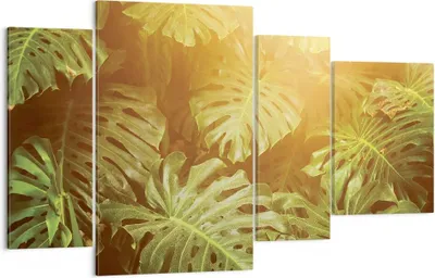 Produktbild von Bild auf Leinwand - Leinwandbild - 4 Teile - Blätter Monstera Licht - 120x70cm - Wand Bild - Wanddeko - Wandbilder - Leinwanddruck - Bilder - Wanddekoration - Leinwand bilder - DL120x70-4540
