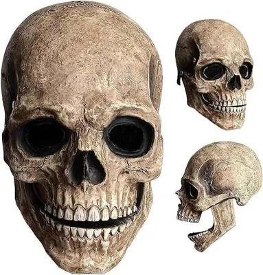 Immagine prodotto di Solidchoice - Maschera di scheletro per Halloween con mascella mobile