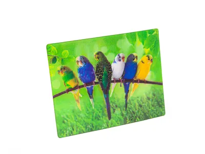 Produktbild von 3 D Magnet Wellensittiche, 9 x 7 cm, Tiere Vögel, Kühlschrankmagnete Tier