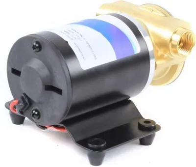 Produktbild von Wasserpumpe 12 V – selbstansaugende Linsenpumpe mit einer Fördermenge von 30 l/min – Membranpumpe