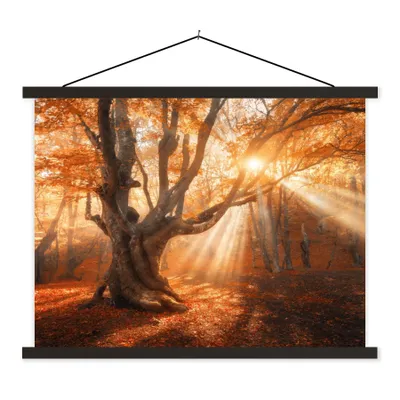 Produktbild von MuchoWow® Textilposter Baum - Natur - Herbst 60x45 cm mit schwarzem Rahmen - Poster Schlafzimmer