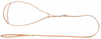 Produktbild von Dingo Leder Ringleine 1,5 m, naturfarben, für Hunde