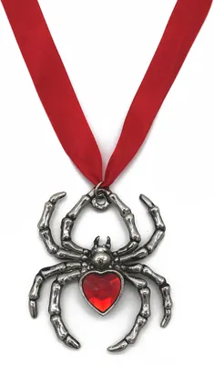 Produktbild von XL Spinnen Amulett am roten Halsband