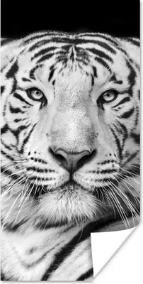 Produktbild von MuchoWow® Poster Tiger - Schwarz - Weiß - Porträt - Tiere 20x40 cm - Plakat - Foto