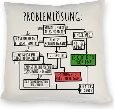 Produktbild von Es gibt kein Problem! Flussdiagramm zur Problemlösung Kissen
