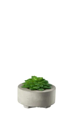 Produktbild von ASA Selection Sukkulente II, grün PVC 66241444 /Abverkauf nur solange Vorrat reicht