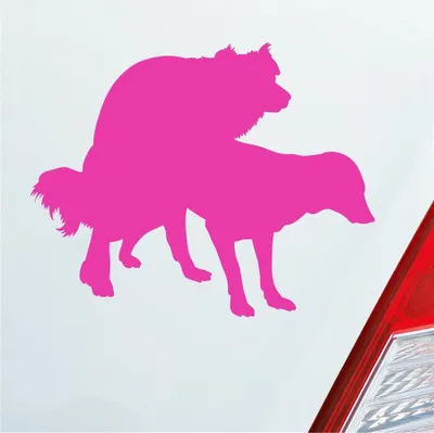 Produktbild von Auto Aufkleber Hunde decken Spaß Liebe Paaren Dog 12,5x10 cm Pink Sticker Heckscheibenaufkleber