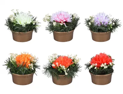 Zdjęcie produktu dla Nohel Garden Chryzantema Jesienna kompozycja kwiatowa w doniczce 17cm