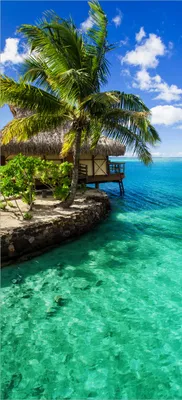 Produktbild von Türtapete Türposter Karibisches Meer  Einsame Hütte unter Palmen - Größe: 93 x 205 cm