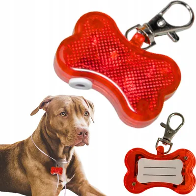 Obrázek produktu pro PETSTORY Svítící identifikační známka pro psy, červená, tvar kosti