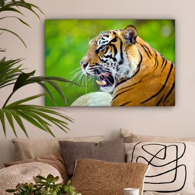 Produktbild von OneMillionCanvasses® - Leinwandbilder - 150x100 cm, Tiger - Natur - Kopf, Wandbilder Kunstdruck Wanddekoration