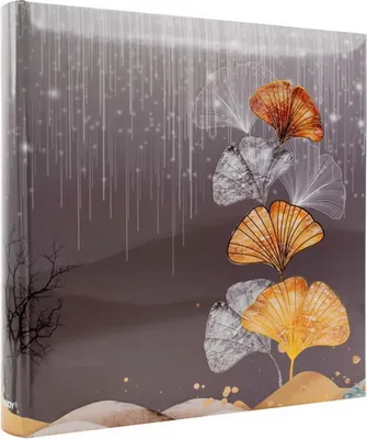 Image de ALBUM PHOTO DE POCHE 500 photos 10x15 cm cousu description GINKO 1