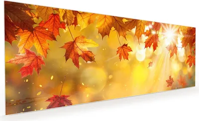 Produktbild von Küchenrückwand Spritzschutz Glas mit Motiv Herbstblätter Sonne 40 x 40 cm