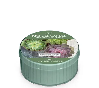 Obrázok produktu pre Kringle Candle Succulents vonná sviečka vonná sviečka (42 g)