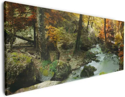 Produktbild von Wallario Premium Leinwandbild Wasserfall mit moosbedeckten Steinen im Herbstwald in Größe 80 x 200 cm