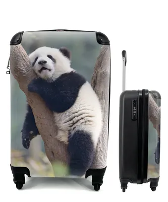 Produktbild von MuchoWow® Koffer Handgepäck Trolley Rollkoffer Kleine Reisekoffer mit 4 Rollen - Schlafendes Pandabärenjunges - Cabin Size < 55x40x23 cm & 55x40x20 cm - Fotokoffer - Kabinenkoffer - Boardgepäck - Reise-Box - Reisekoffer - Reisegepäck - Koffer mit Bild - Trolley für Kinder