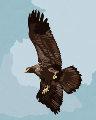 Produktbild von Zuty - Malen nach Zahlen - ADLER (D. RUSTY RUST), 40x50 cm, mit Keilrahmen (bereits gespannt)
