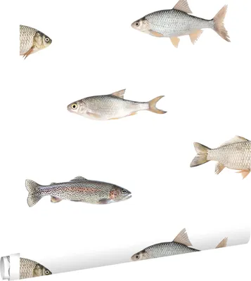 Immagine prodotto di ESTAhome carta da parati Pesci grigio 50 x 900 cm