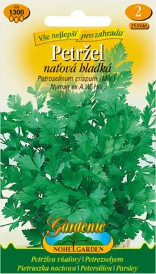 Image de Persil GIGANTE D'ITALIA