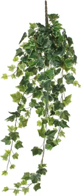 Produktbild von Mica Decorations Hedera Hängende Kunstpflanze - H86 cm - Grün, Bunt