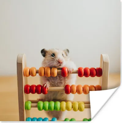 Produktbild von MuchoWow® Poster Rechnender Hamster 50x50 cm - Wohnzimmerdekoration