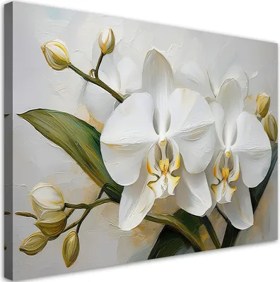 Produktbild von Leinwandbild Gemalte Orchideenblüte 90x60 Feeby Weiß bild für die wand bereit zum aufhängen