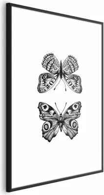 Produktbild von Posterpapier Poster - Two Butterflies 40x60 cm Tiere g-B-0115-ao-a