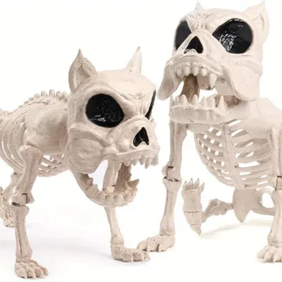 Obrázek produktu pro Dekorace na Halloween ve tvaru psí lebky - 40,6 cm - Pohyblivé klouby - Plast - Není elektrická - Vhodná pro použití uvnitř i venku