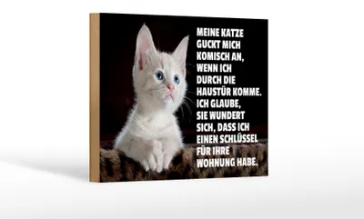 Produktbild von Holzschild Spruch 18x12cm Katze guckt mich komisch an