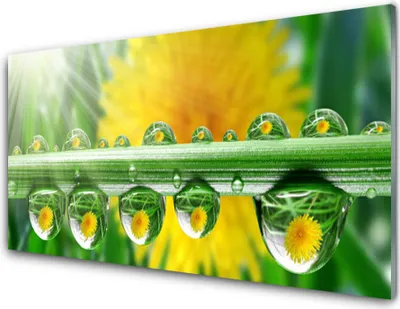 Produktbild von Acrylglasbilder 100x50 Wandbild Druck Stängel Tautropfen Pflanzen