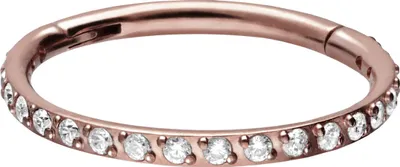 Produktbild von Ohrpiercing, Nasenpiercing, Septum Piercing Titan Segmentring Clicker EINGEFASSTE KRISTALLE RoséGold Innendurchmesser: 11mm + Stabstärke: 1,2mm