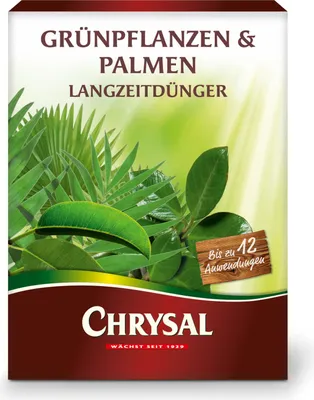 Produktbild von Chrysal Grünpflanzen und Palmen Langzeitdünger - 300 g