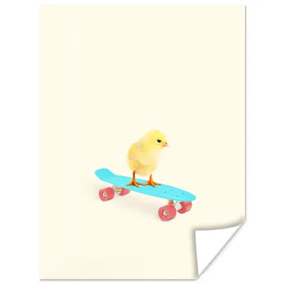 Produktbild von MuchoWow® Poster Küken - Gelb - Skateboard - Blau - Tiere 120x160 cm - Wandbilder