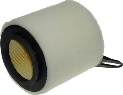 Produktbild von PURFLUX A1201 Luftfilter für BMW 3 Touring (E91)