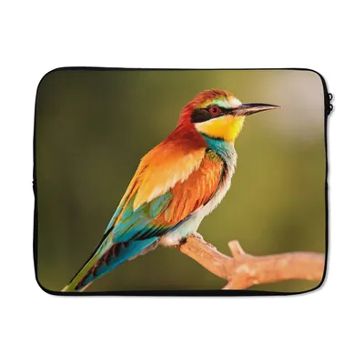 Produktbild von MuchoWow® Laptop Hülle 17 Zoll Laptoptasche Vögel - Bienenfresser - Regenbogen - Tiere - Zipper - Schutzabdeckung