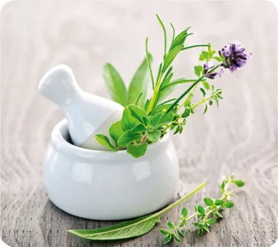 Obrázek produktu pro Ochranný skleněný panel HERB GARDEN na sporák, WENKO