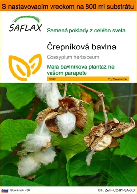Obrázok produktu pre SAFLAX Garden in the bag - črepníková bavlna - Gossypium herbaceum - 12 Semená - S pestovateľským substrátom v praktickom samostaviteľnom vrecku