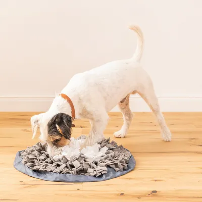 Produktbild von Navaris Schnüffelteppich Spielzeug Suchteppich für Hunde - Schnupperteppich aus Polyester - Hundespielzeug Beschäftigung für Hund - waschbar