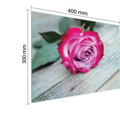 Produktbild von Schneidebrett Herdabdeckplatte Multiglasschneidplatte 40x30 cm Rose Holz
