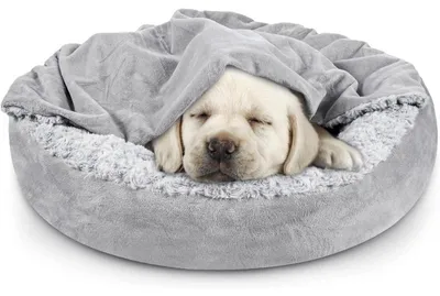 Produktbild von Haustierkissen mit Decke, gemütliches Hundekissen und Katzenbett für kleine bis mittelgroße Haustiere，Grey