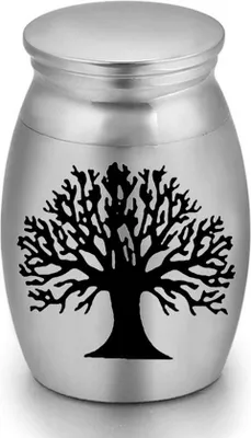 Produktbild von Elegante Mini Urne für Asche - 15 ml - 25 x 16 mm - Gedenkurne für Haustiere und Menschen - Silber