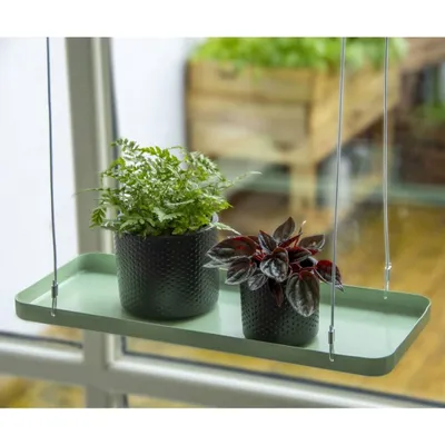 Immagine prodotto di Esschert Design Vassoio per piante rettangolare verde S
